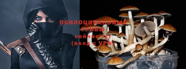гидра Абинск